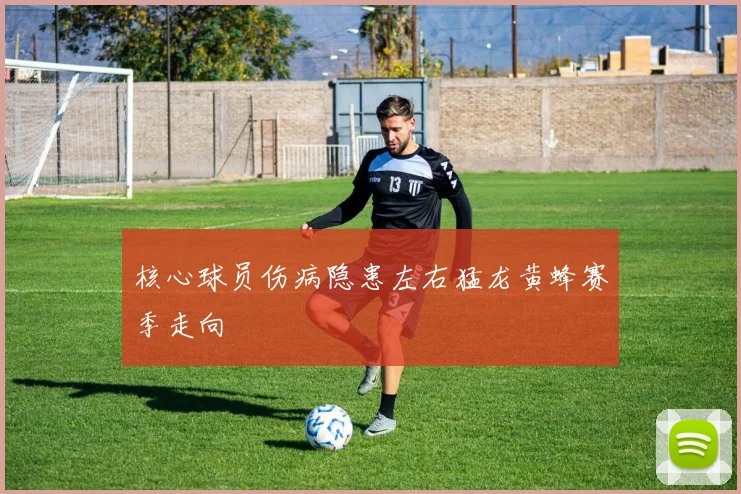 核心球员伤病隐患左右猛龙黄蜂赛季走向